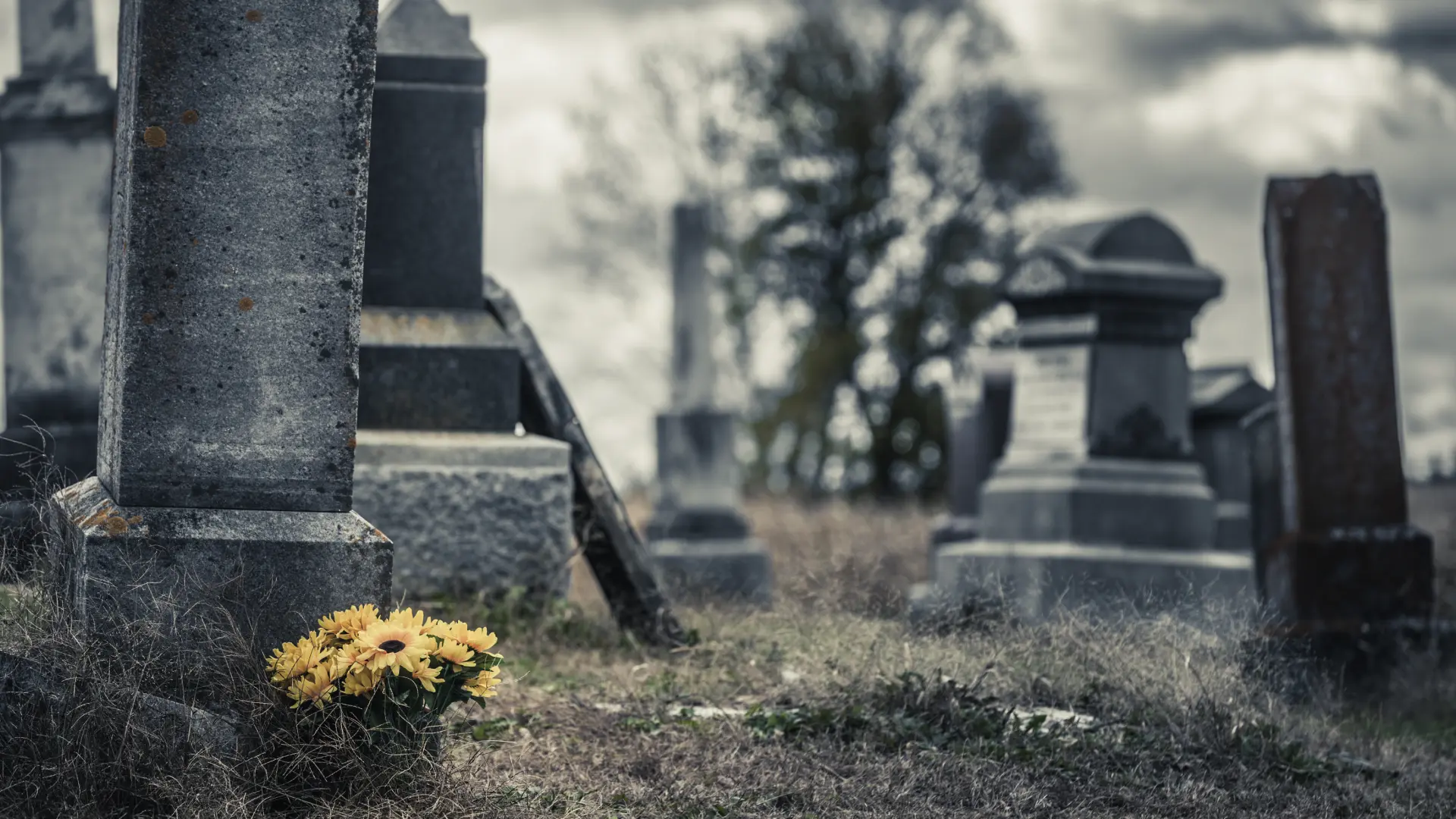 Visualización de Servicios Funerarios